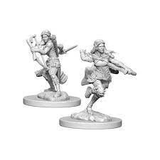 D&D Nolzur's Marvelous Minis: Wave 4 - Air Genasi Female Rogue