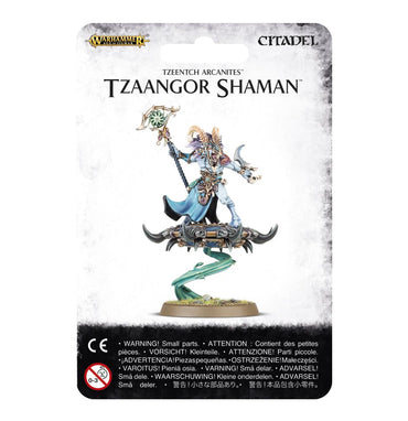 Chaos Daemons - Tzaangor Shaman
